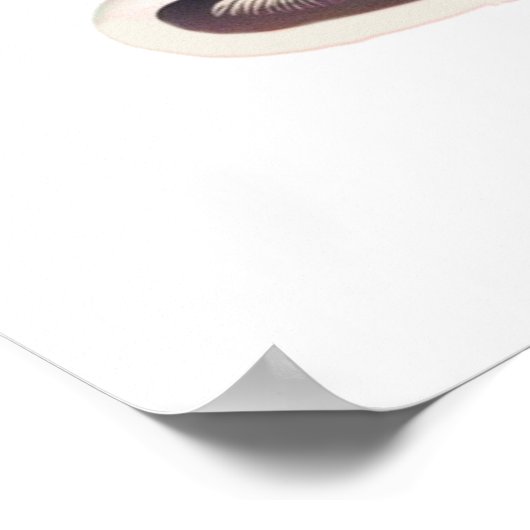 Poster Chat bébé mignon avec casque (Coin)