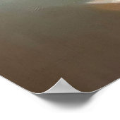 Poster Chat birman (Coin)