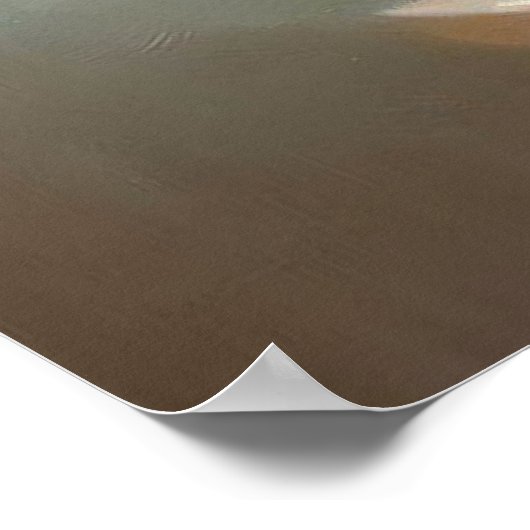 Poster Chat birman (Coin)