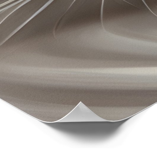 Poster Chat blanc. (Coin)