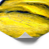 Poster Chat blanc, beaux-arts, (Coin)