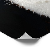 Poster Chat Blanc Drôle avec Attitude, Pas Impressionné – (Coin)