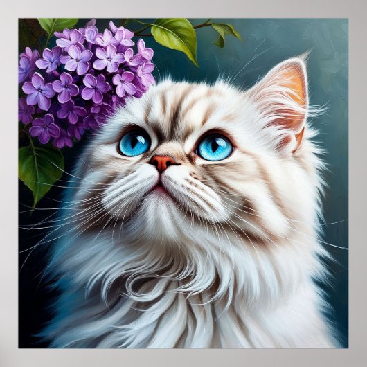 Poster Chat Blanc Fluffy Avec Des Yeux Bleus (Devant)