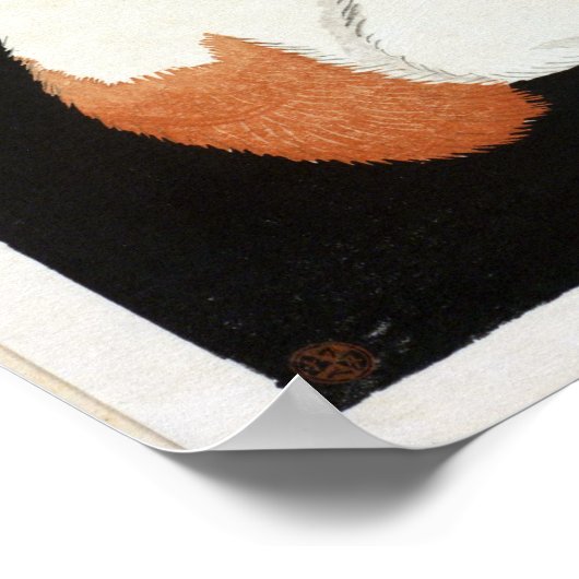 Poster Chat blanc Takahashi Shōtei (Coin)