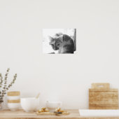 Poster Chat blanc vintage (Cuisine)