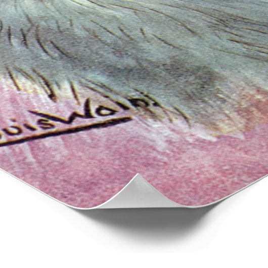 Poster Chat bleu russe, Louis Wain (Coin)