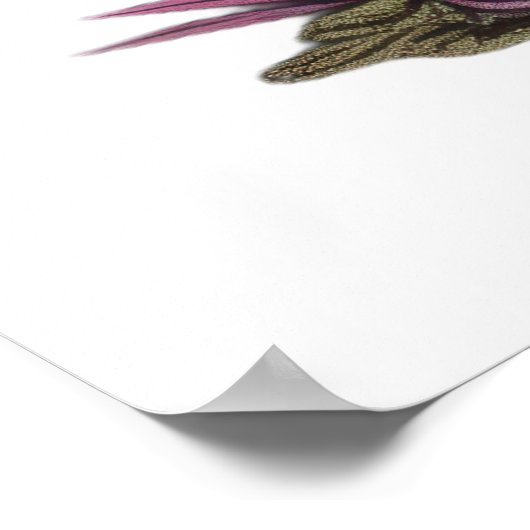 Poster Chat bleu sous Casquette de champignon (Coin)