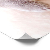 Poster Chat britannique à courte distance (Coin)