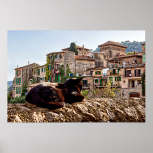 Poster Chat bronzage sur un mur - Valldemossa, Majorque