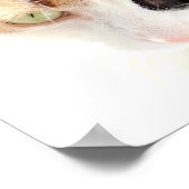Poster Chat calico (Coin)