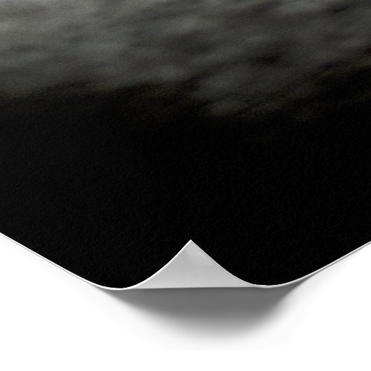 Poster Chat Calico (Coin)