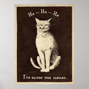 Poster Chat canarien vintage
