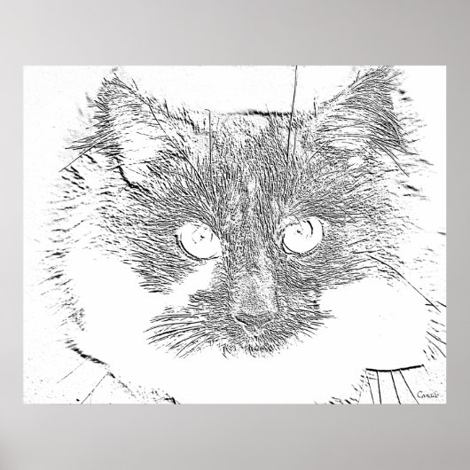 Poster chat chanceux (Devant)
