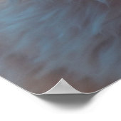 Poster *~*  Chat Chaton 5:4  Chaton Blanc Cheveux Longs F (Coin)