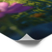 Poster *~*  Chat Chaton 5:4 Félin Chatons Atteignant Fleu (Coin)