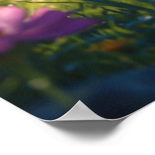 Poster *~*  Chat Chaton 5:4 Félin Chatons Atteignant Fleu (Coin)