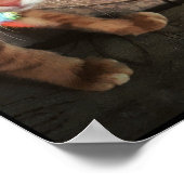 Poster chat, chats, drôle, mignonette, chaton, chaton, ch (Coin)