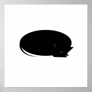 Poster Chat confortable
