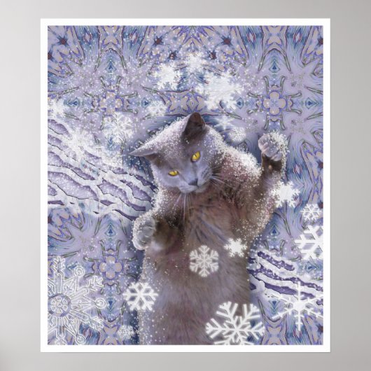 Poster Chat cool (Devant)