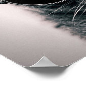 Poster Chat cool (Coin)