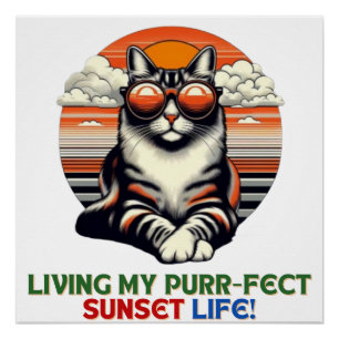 Poster Chat Cool coucher de soleil
