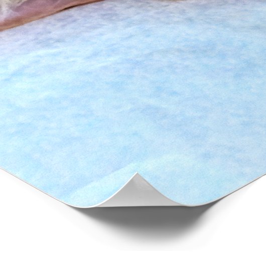 Poster Chat couché (Coin)