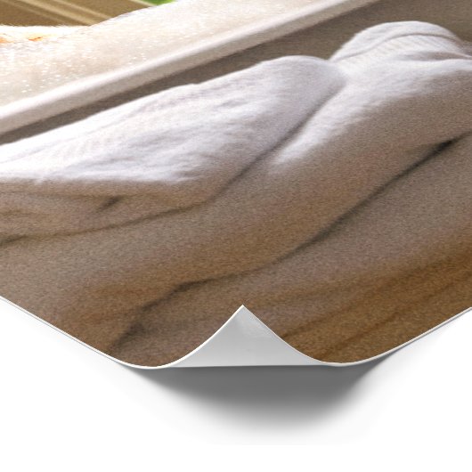 Poster Chat Dans Bain À Bulles (Coin)