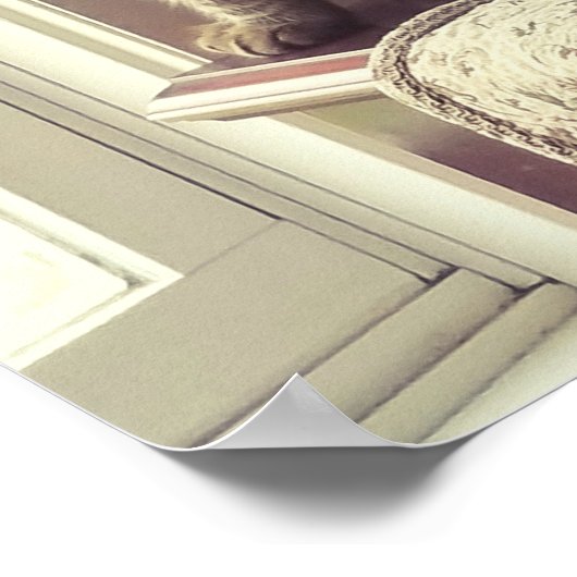 Poster Chat dans la fenêtre (Coin)