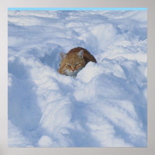 Poster Chat dans la neige (Devant)