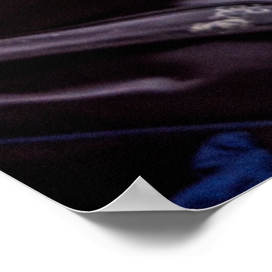 Poster Chat dans le train (Coin)