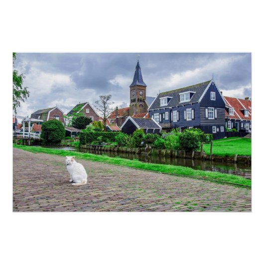 Poster Chat dans le village de pêcheurs traditionnel (Devant)