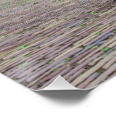 Poster Chat dans le village de pêcheurs traditionnel (Coin)