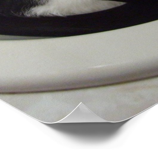 Poster Chat dans l'évier (Coin)