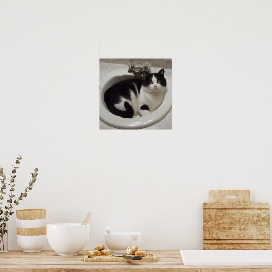 Poster Chat dans l'évier (Cuisine)