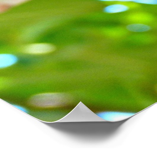 Poster Chat dans un arbre (Coin)