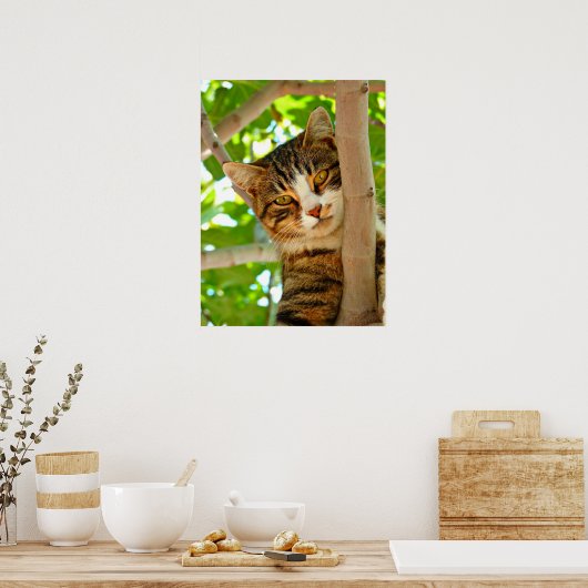 Poster Chat dans un arbre (Cuisine)