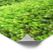 Poster Chat dans une fenêtre (Coin)