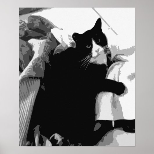 Poster Chat de blanchisserie (Devant)