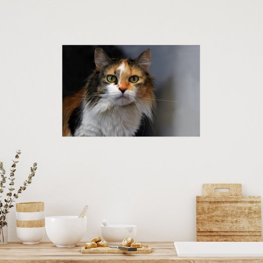 Poster Chat de Calico (Cuisine)