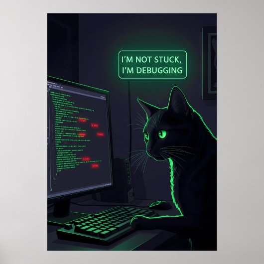 Poster Chat de débogage Programmeur - "Je ne suis pas blo (Devant)