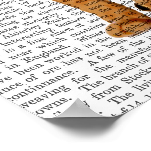 Poster Chat de gingembre avec couronne (Coin)