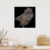 Poster Chat de graisse de Shorthair britannique posé sur  (Cuisine)