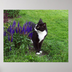 Poster Chat de jardin d'aquarelle