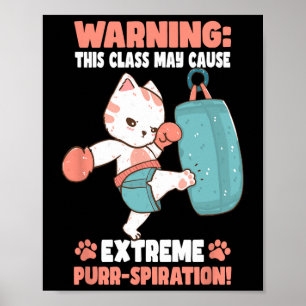Poster Chat de kickboxing pour hommes femmes enfants