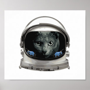 Poster Chat de l'astronaute du casque spatial