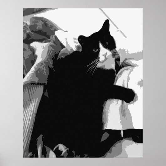 Poster Chat de linge  (Devant)