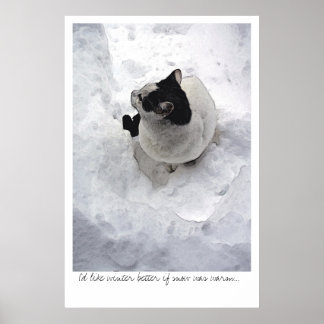 Poster Chat de neige