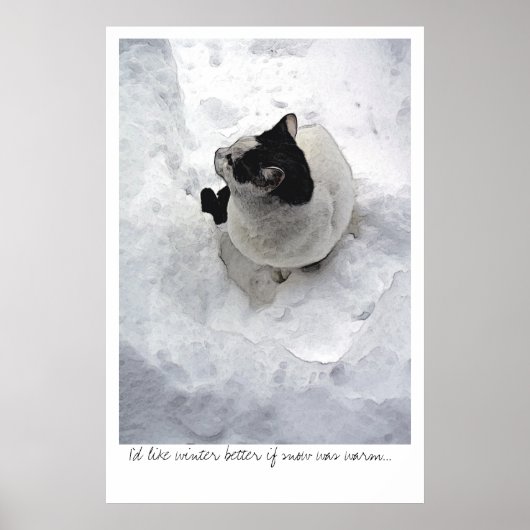 Poster Chat de neige (Devant)