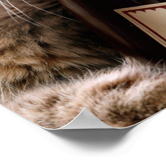 Poster Chat De Noël Avec Bouteille De Vin (Coin)