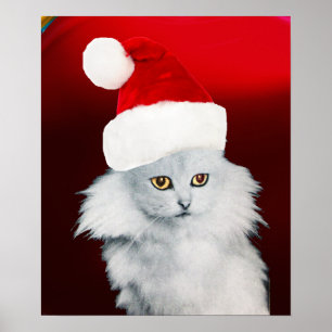 Poster CHAT DE NOËL BLANC AVEC CASQUETTE SANTA CLAUS, Rub